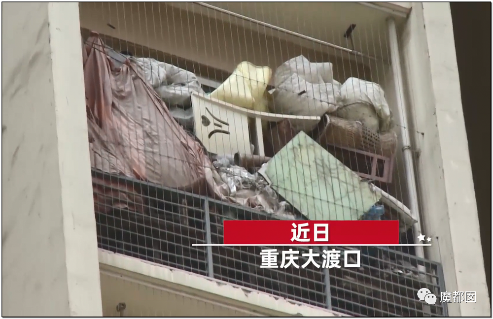 头皮发麻！干净的地上抽屉忽然爆发大量蟑螂，真相令人愤怒（组图） - 92