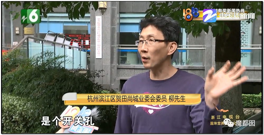 头皮发麻！干净的地上抽屉忽然爆发大量蟑螂，真相令人愤怒（组图） - 28