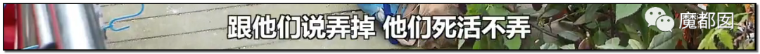 头皮发麻！干净的地上抽屉忽然爆发大量蟑螂，真相令人愤怒（组图） - 168