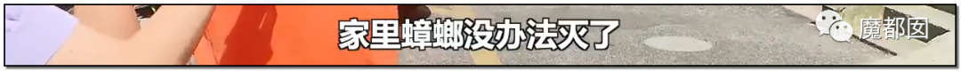 头皮发麻！干净的地上抽屉忽然爆发大量蟑螂，真相令人愤怒（组图） - 159