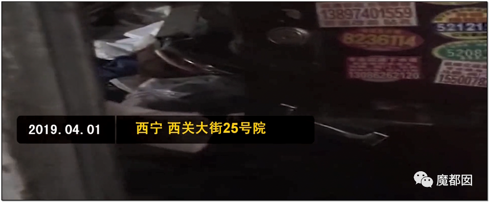 头皮发麻！干净的地上抽屉忽然爆发大量蟑螂，真相令人愤怒（组图） - 143
