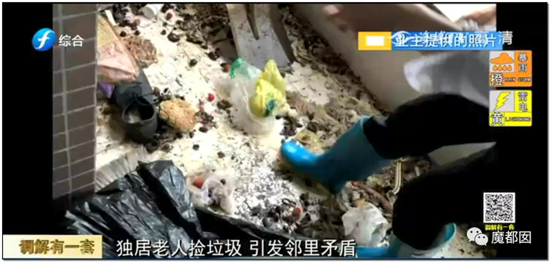 头皮发麻！干净的地上抽屉忽然爆发大量蟑螂，真相令人愤怒（组图） - 110