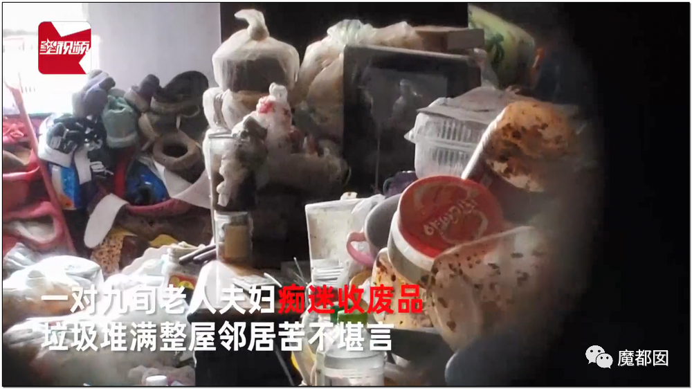 头皮发麻！干净的地上抽屉忽然爆发大量蟑螂，真相令人愤怒（组图） - 93