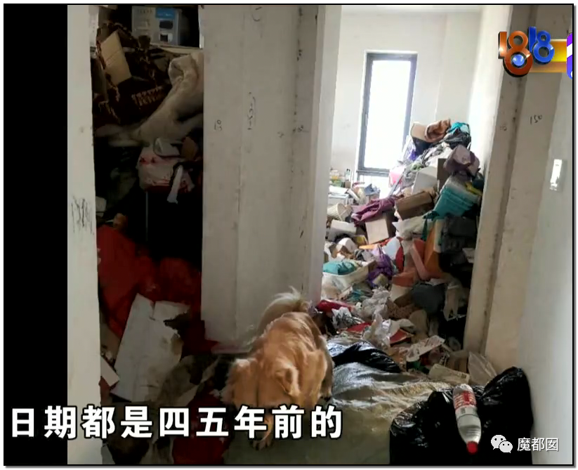 头皮发麻！干净的地上抽屉忽然爆发大量蟑螂，真相令人愤怒（组图） - 31