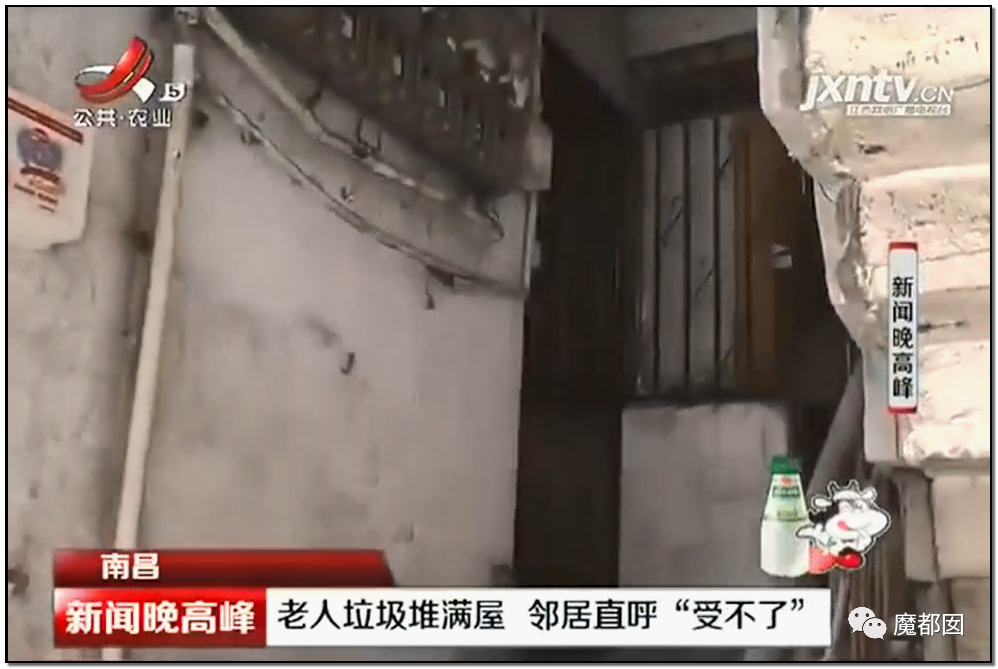 头皮发麻！干净的地上抽屉忽然爆发大量蟑螂，真相令人愤怒（组图） - 62