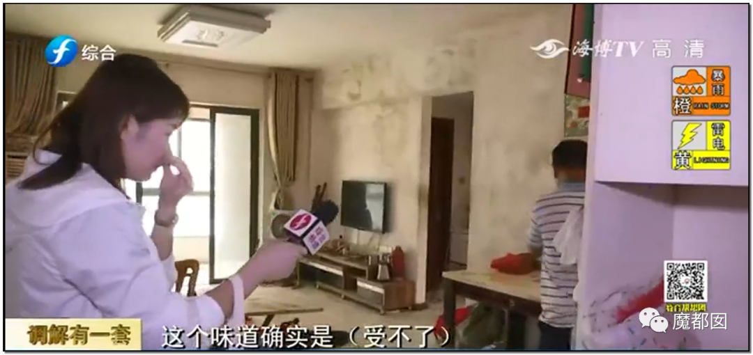 头皮发麻！干净的地上抽屉忽然爆发大量蟑螂，真相令人愤怒（组图） - 106