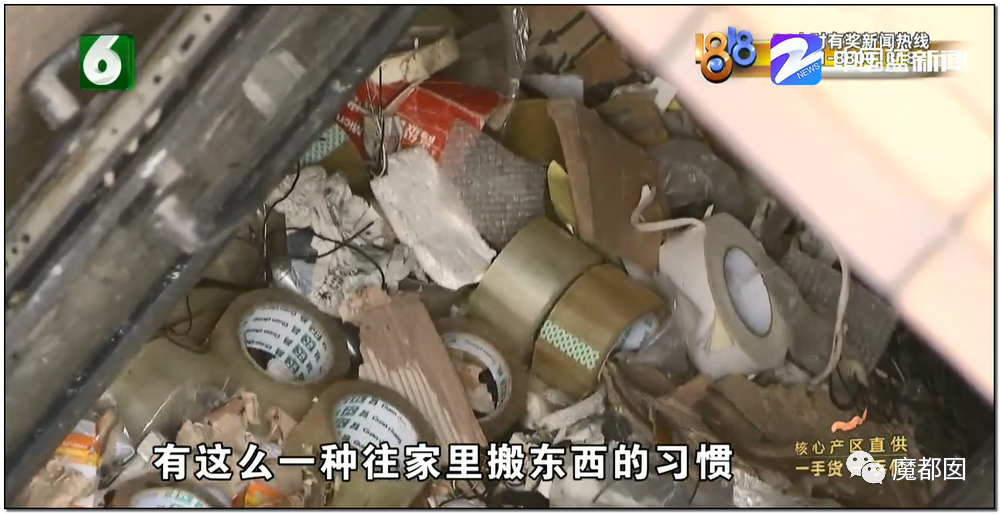头皮发麻！干净的地上抽屉忽然爆发大量蟑螂，真相令人愤怒（组图） - 51