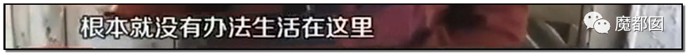 头皮发麻！干净的地上抽屉忽然爆发大量蟑螂，真相令人愤怒（组图） - 73