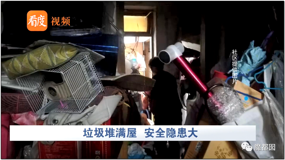 头皮发麻！干净的地上抽屉忽然爆发大量蟑螂，真相令人愤怒（组图） - 140