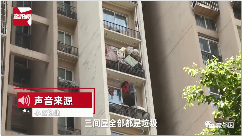 头皮发麻！干净的地上抽屉忽然爆发大量蟑螂，真相令人愤怒（组图） - 96
