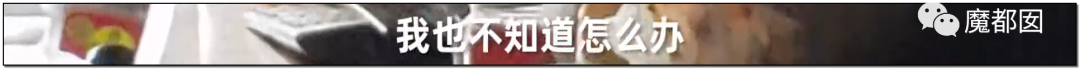 头皮发麻！干净的地上抽屉忽然爆发大量蟑螂，真相令人愤怒（组图） - 102