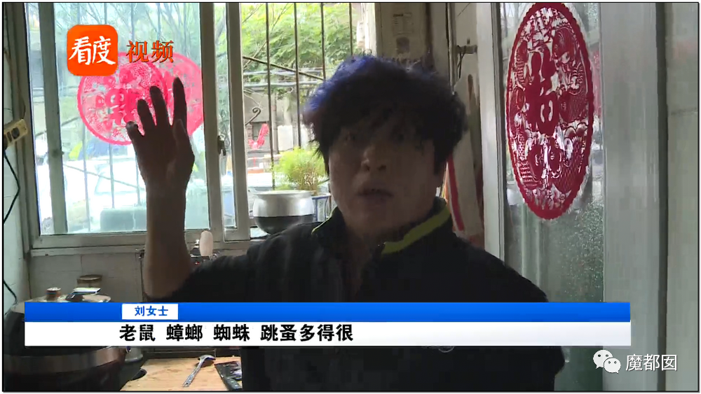 头皮发麻！干净的地上抽屉忽然爆发大量蟑螂，真相令人愤怒（组图） - 141