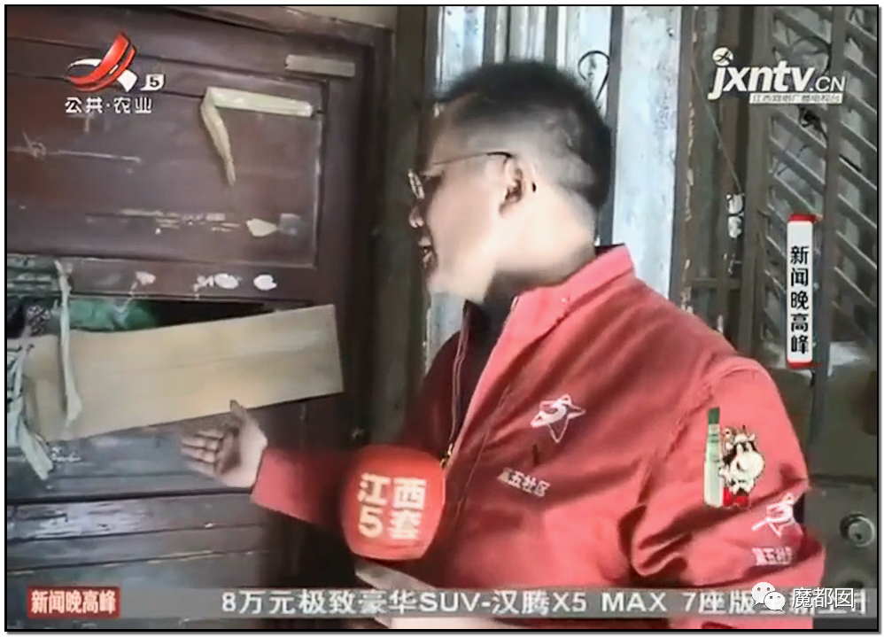 头皮发麻！干净的地上抽屉忽然爆发大量蟑螂，真相令人愤怒（组图） - 61