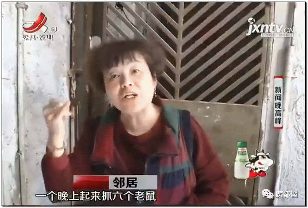 头皮发麻！干净的地上抽屉忽然爆发大量蟑螂，真相令人愤怒（组图） - 72