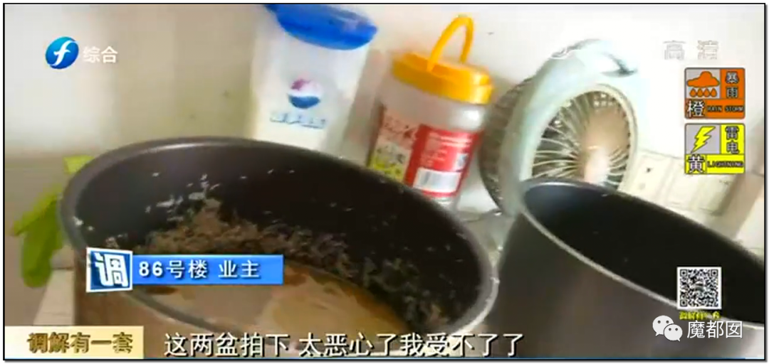 头皮发麻！干净的地上抽屉忽然爆发大量蟑螂，真相令人愤怒（组图） - 108