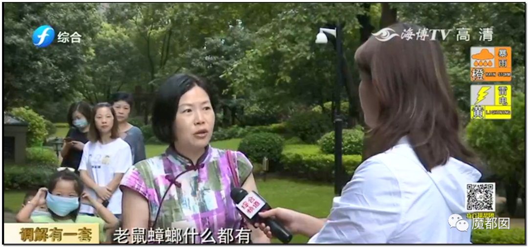 头皮发麻！干净的地上抽屉忽然爆发大量蟑螂，真相令人愤怒（组图） - 115