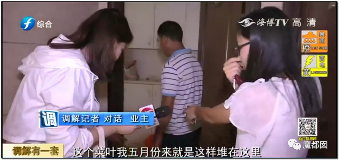 头皮发麻！干净的地上抽屉忽然爆发大量蟑螂，真相令人愤怒（组图） - 105