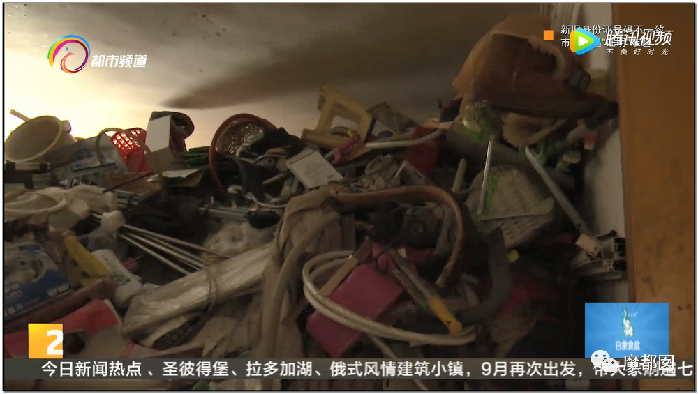 头皮发麻！干净的地上抽屉忽然爆发大量蟑螂，真相令人愤怒（组图） - 135