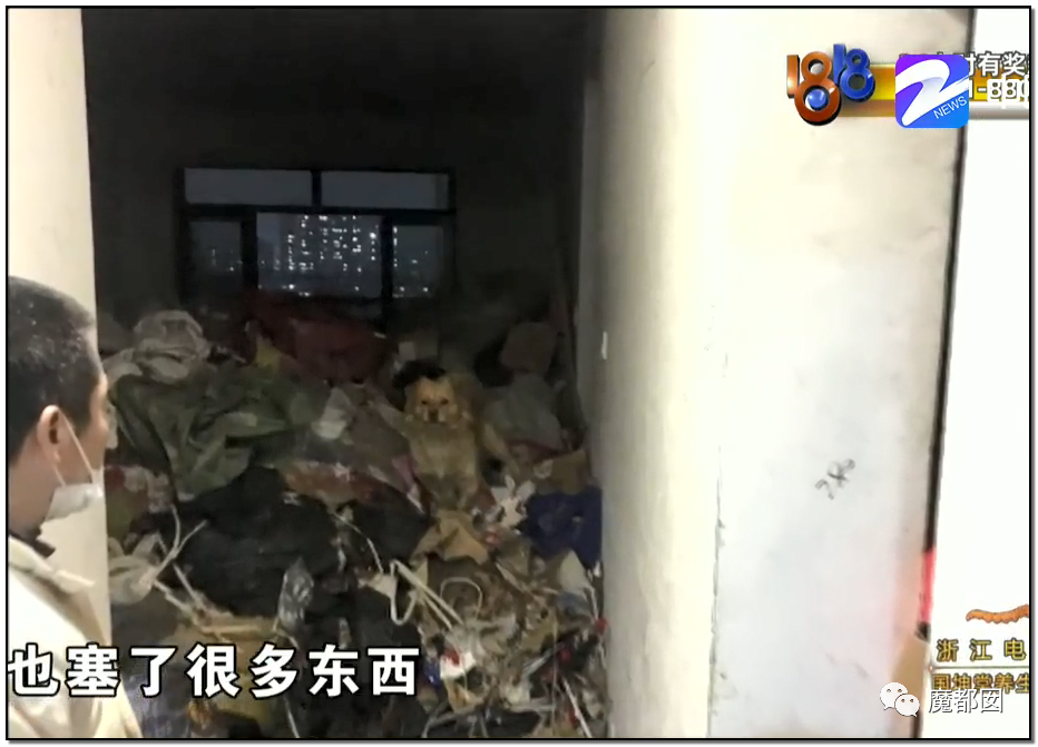 头皮发麻！干净的地上抽屉忽然爆发大量蟑螂，真相令人愤怒（组图） - 29