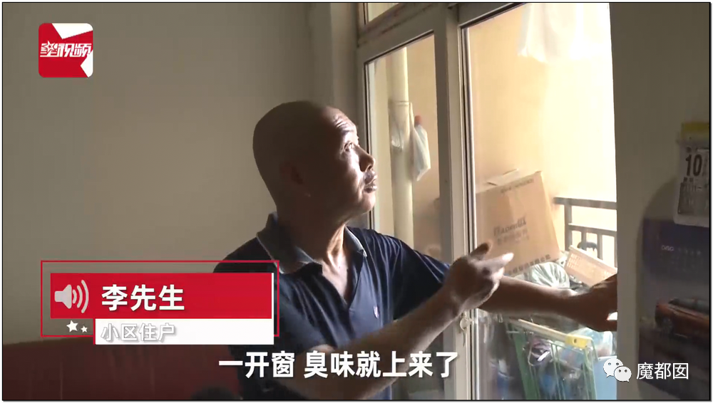 头皮发麻！干净的地上抽屉忽然爆发大量蟑螂，真相令人愤怒（组图） - 94