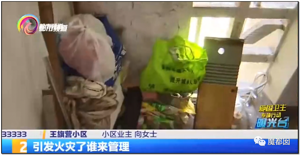 头皮发麻！干净的地上抽屉忽然爆发大量蟑螂，真相令人愤怒（组图） - 128