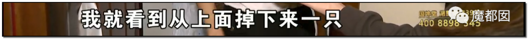 头皮发麻！干净的地上抽屉忽然爆发大量蟑螂，真相令人愤怒（组图） - 44