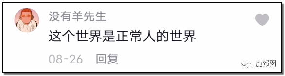谩骂唾弃攻击！抖音盲人网红的遭遇让我们看清中国盲人现状（组图） - 74