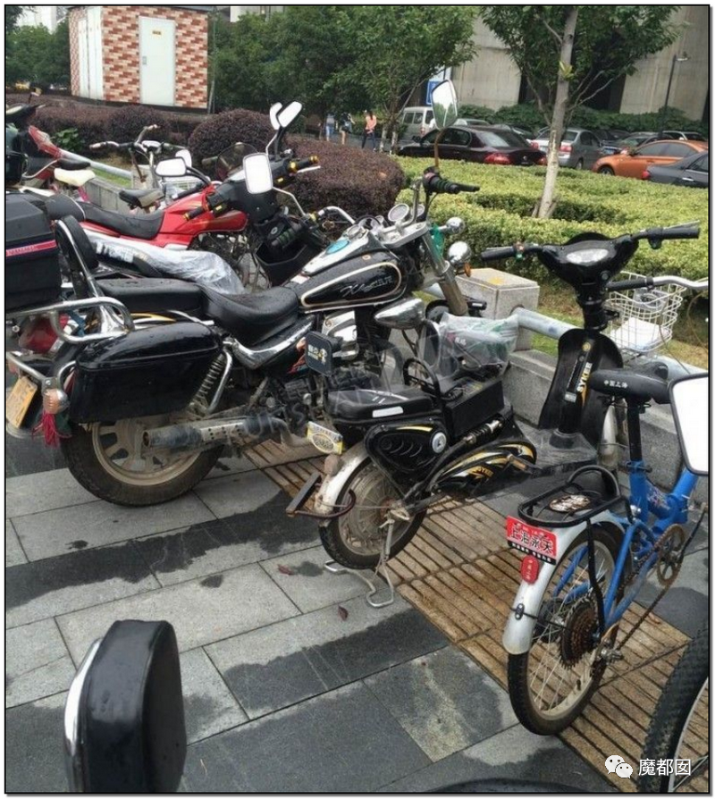 谩骂唾弃攻击！抖音盲人网红的遭遇让我们看清中国盲人现状（组图） - 83