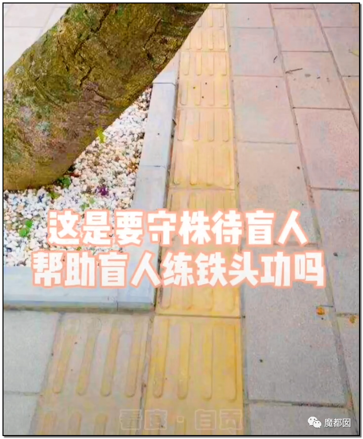 谩骂唾弃攻击！抖音盲人网红的遭遇让我们看清中国盲人现状（组图） - 49