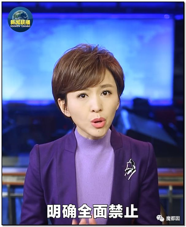 央视再次发出最强音！比贩毒更赚钱，中国某些人豁命追捧的恐怖野味市场彻底凉了！（组图） - 1