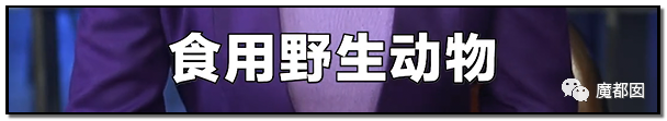 央视再次发出最强音！比贩毒更赚钱，中国某些人豁命追捧的恐怖野味市场彻底凉了！（组图） - 2
