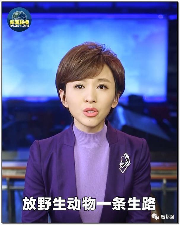 央视再次发出最强音！比贩毒更赚钱，中国某些人豁命追捧的恐怖野味市场彻底凉了！（组图） - 107
