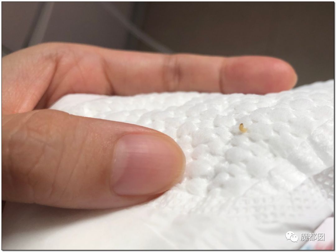 慎点！大牌卫生巾竟都是虫卵！孵化了在体内长蛆...（组图） - 64