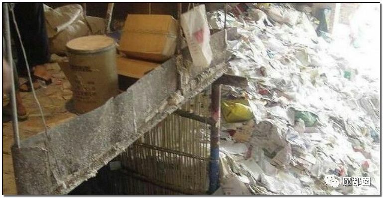 慎点！大牌卫生巾竟都是虫卵！孵化了在体内长蛆...（组图） - 67