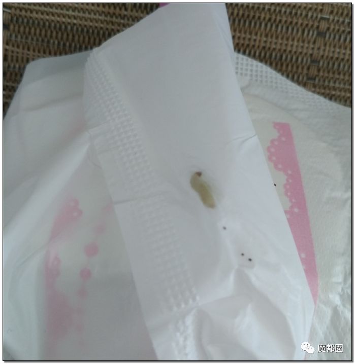 慎点！大牌卫生巾竟都是虫卵！孵化了在体内长蛆...（组图） - 46