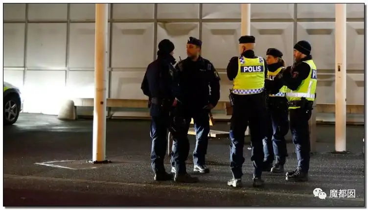 震撼全球！瑞典罕见婴儿拐卖案，2小时不计成本破案令人发抖（视频/组图） - 34