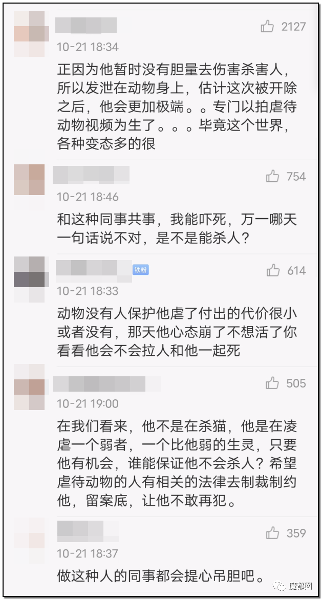 激怒央视！男子残忍用开水活活浇烫怀孕母猫事件引发全网悲愤（组图） - 70