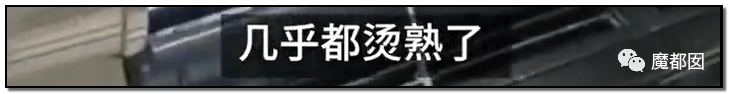 激怒央视！男子残忍用开水活活浇烫怀孕母猫事件引发全网悲愤（组图） - 64