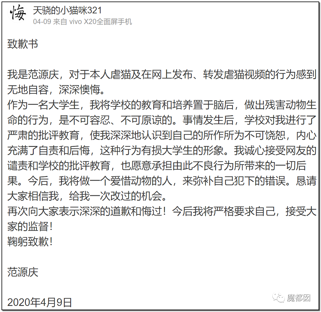 激怒央视！男子残忍用开水活活浇烫怀孕母猫事件引发全网悲愤（组图） - 92