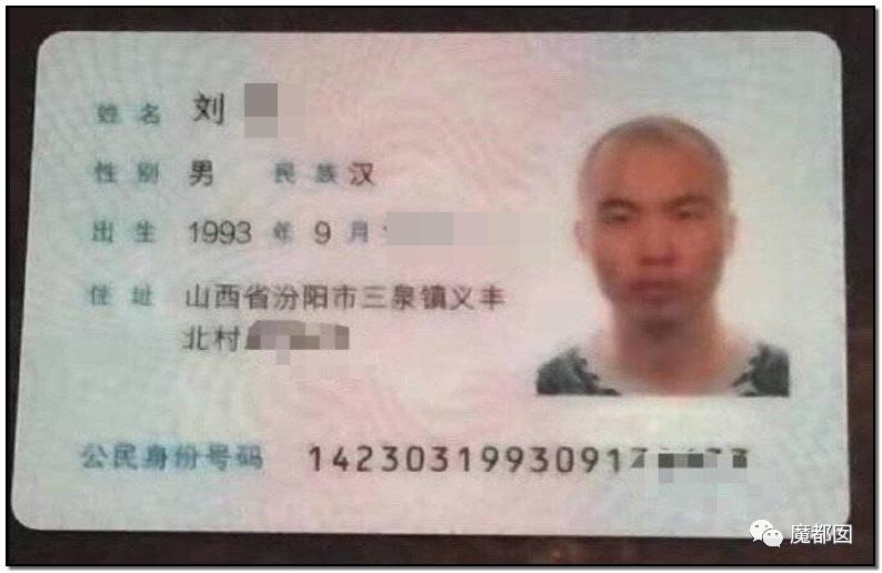激怒央视！男子残忍用开水活活浇烫怀孕母猫事件引发全网悲愤（组图） - 93