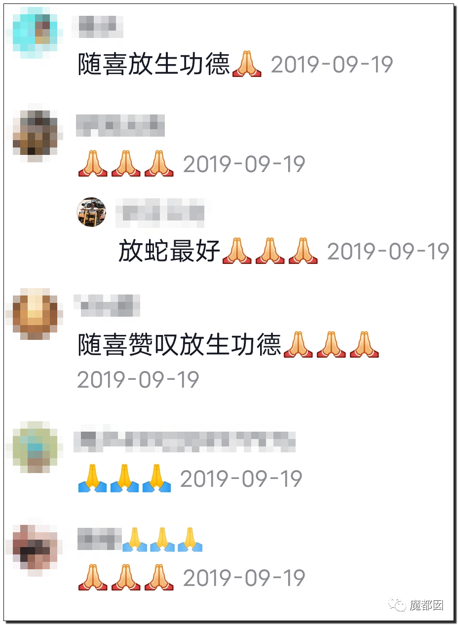 你们如此“放生”，不怕佛祖显灵抽你们耳光？（组图） - 82