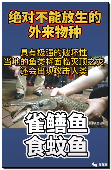 你们如此“放生”，不怕佛祖显灵抽你们耳光？（组图） - 71