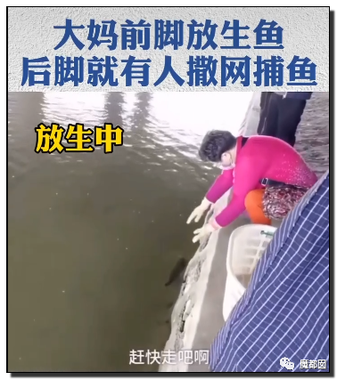 你们如此“放生”，不怕佛祖显灵抽你们耳光？（组图） - 67