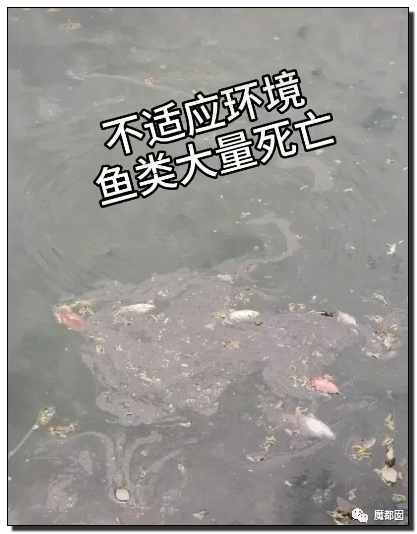 你们如此“放生”，不怕佛祖显灵抽你们耳光？（组图） - 77