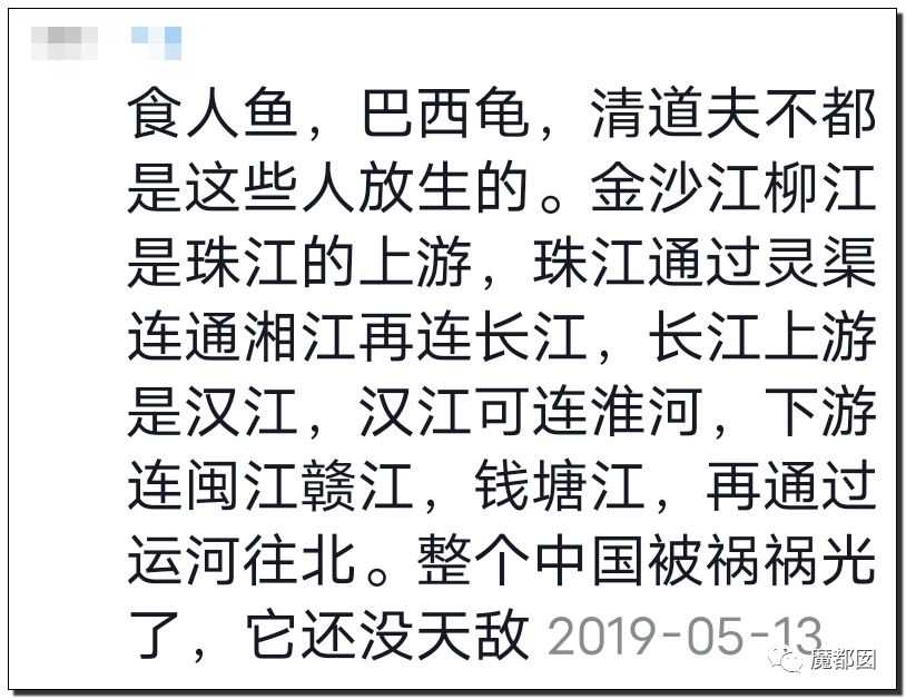 你们如此“放生”，不怕佛祖显灵抽你们耳光？（组图） - 74