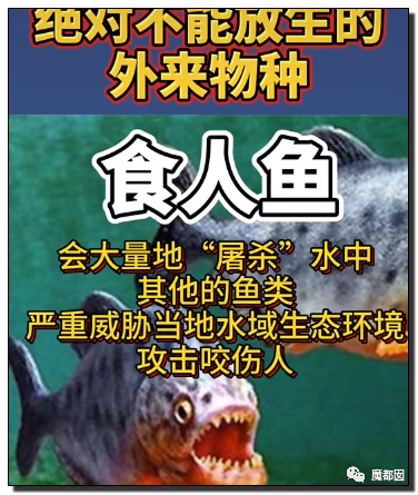 你们如此“放生”，不怕佛祖显灵抽你们耳光？（组图） - 70