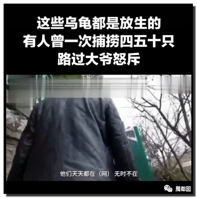 你们如此“放生”，不怕佛祖显灵抽你们耳光？（组图） - 69