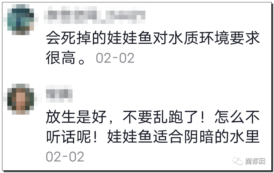 你们如此“放生”，不怕佛祖显灵抽你们耳光？（组图） - 66