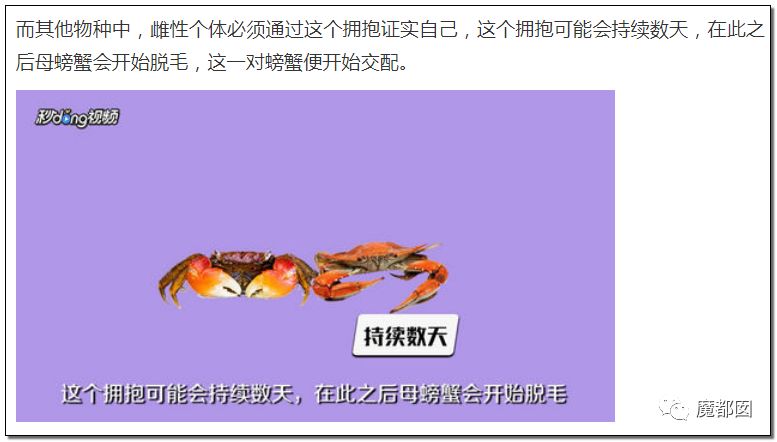欺骗全网！这畜生被誉为中国最爱老婆，实际却为兽欲诱拐少女（组图） - 27