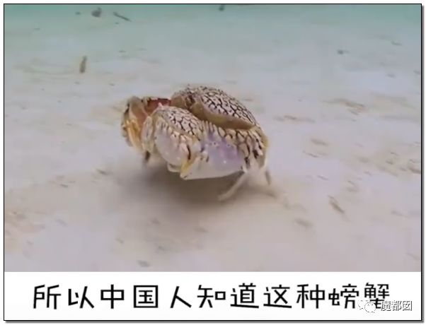 欺骗全网！这畜生被誉为中国最爱老婆，实际却为兽欲诱拐少女（组图） - 10
